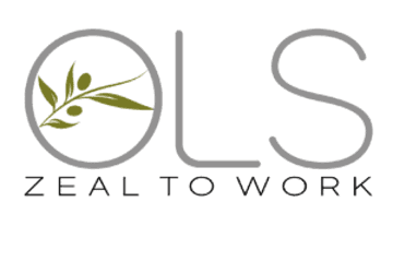 OLS Constructions Private Limited logo