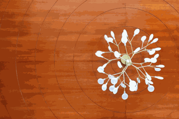 Cynosure – Architect in Egmore, Chennai